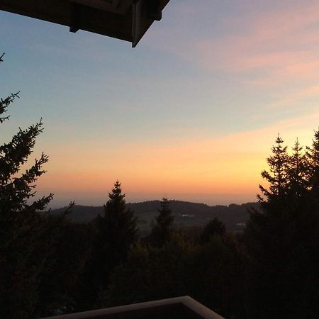 Wellness Apartment Sankt Englmar Bagian luar foto