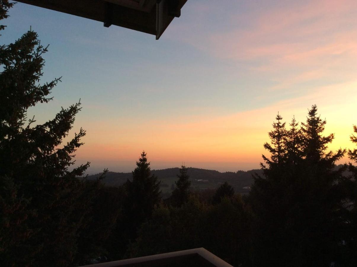 Wellness Apartment Sankt Englmar Bagian luar foto